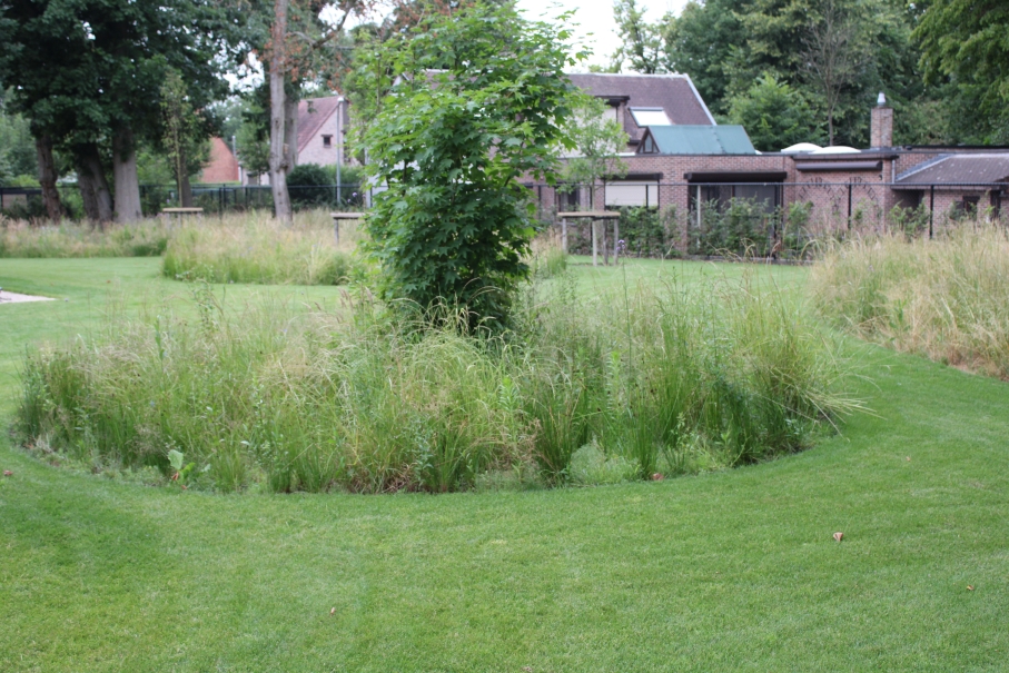 tuin betonklinkers oprit zwembad tuin