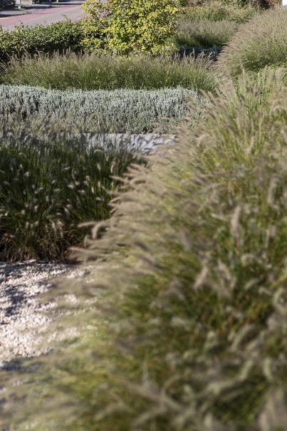 tuin betonklinkers oprit zwembad tuin