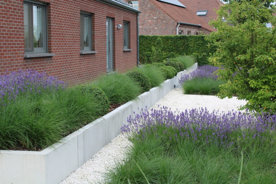 tuin betonklinkers oprit zwembad tuin