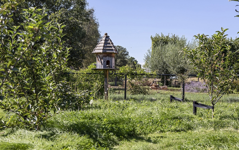 tuin betonklinkers oprit zwembad tuin