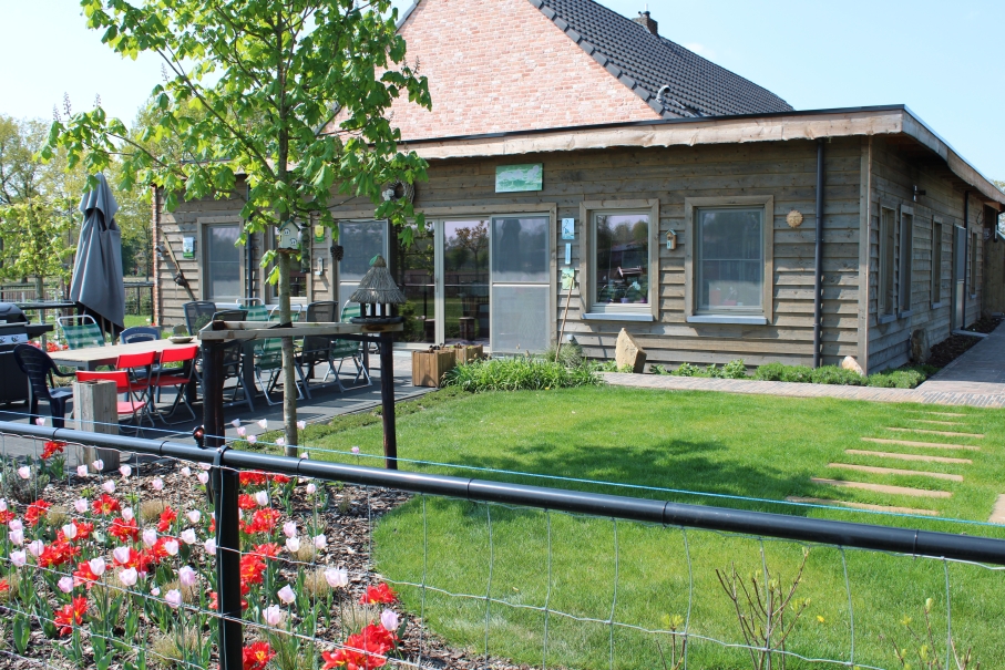 tuin betonklinkers oprit zwembad tuin