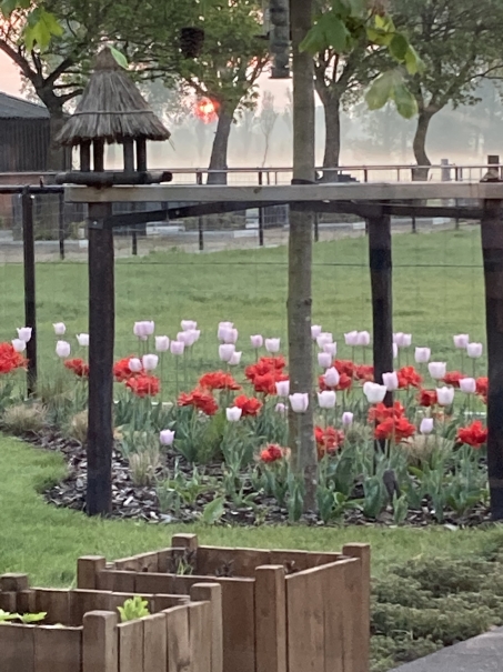 tuin betonklinkers oprit zwembad tuin