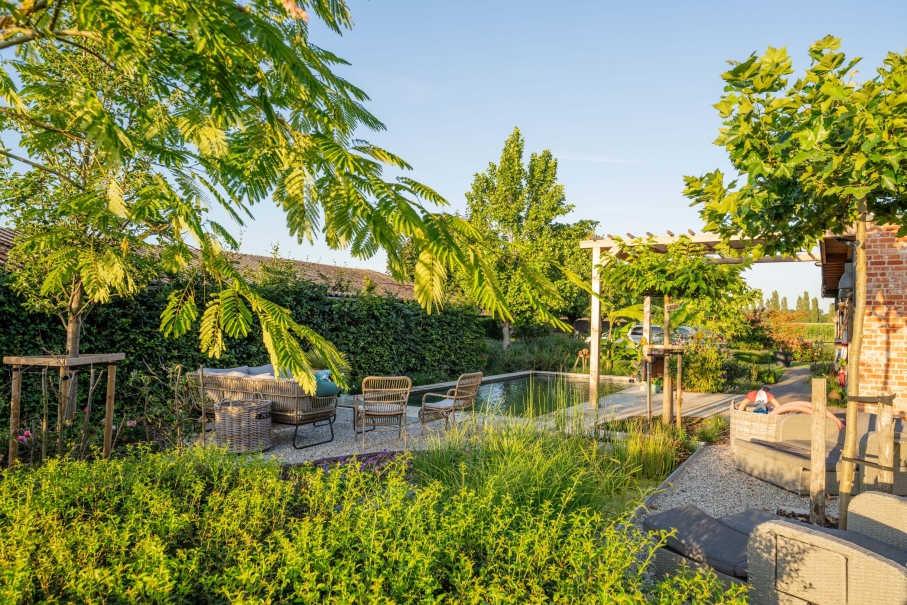 tuin betonklinkers oprit zwembad tuin