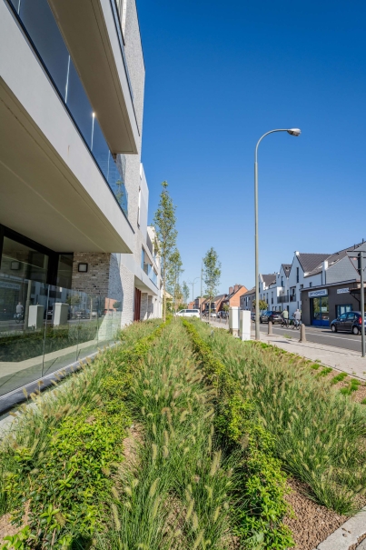 tuin betonklinkers oprit zwembad tuin