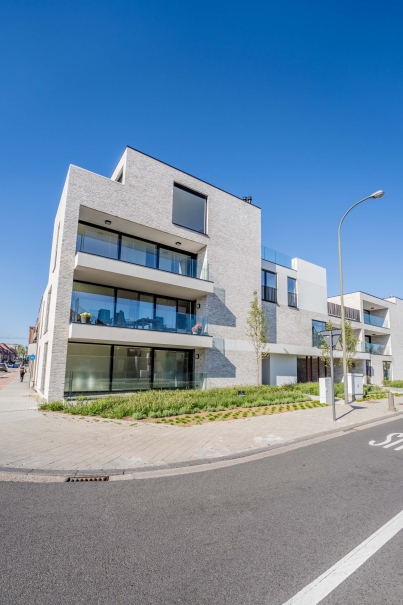 tuin betonklinkers oprit zwembad tuin