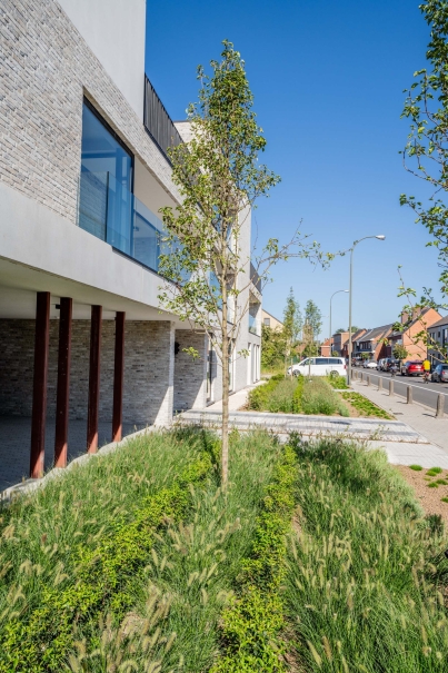 tuin betonklinkers oprit zwembad tuin