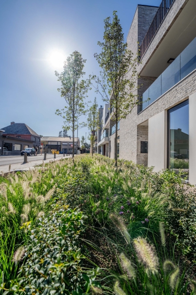 tuin betonklinkers oprit zwembad tuin