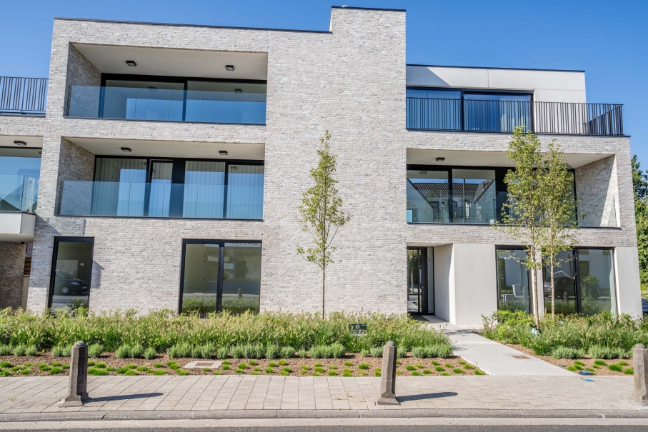 tuin betonklinkers oprit zwembad tuin