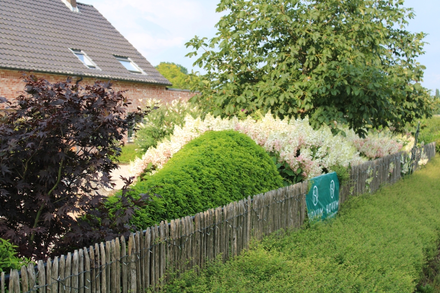 tuin betonklinkers oprit zwembad tuin